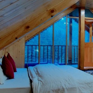 JUNGLE TRAILS COTTAGE