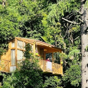 LATODA THE TREE HOUSE 