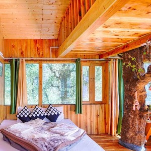 PINE WOOD TREE HOUSE