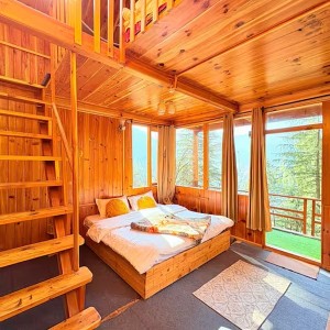 THE LITTLE NEST