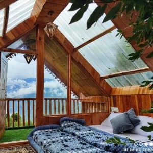 THE TREE TOP TREE HOUSE